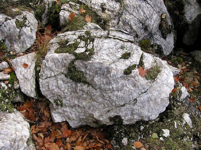 Grüner Gipskarst